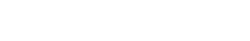 logo - white v2
